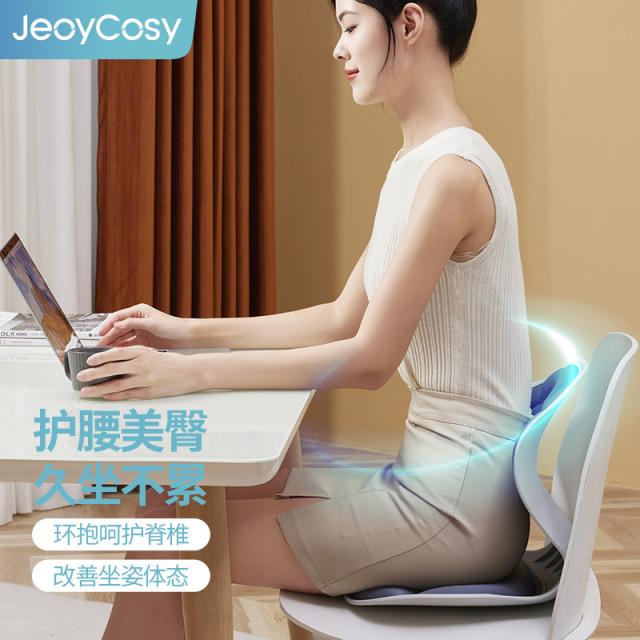 踐程護腰坐墊 SC01